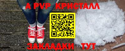 тгк Бердск
