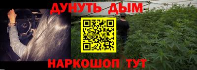 тгк Бердск