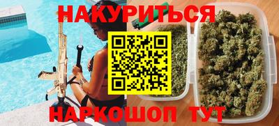 тгк Бердск