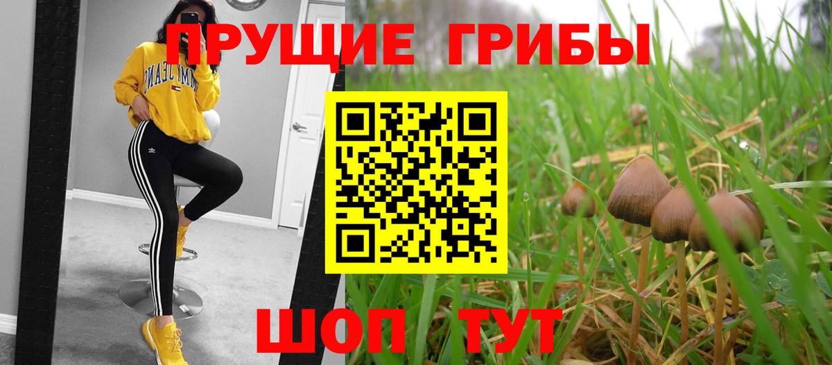 Галлюциногенные грибы MAGIC MUSHROOMS  Псилоцибиновые грибы Psilocybe  Кондопога  Вход с VPN 