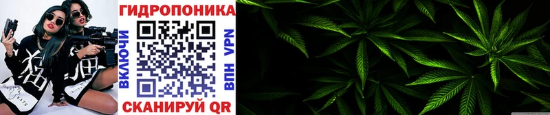 Бошки Шишки ГИДРОПОН мега Кондопога